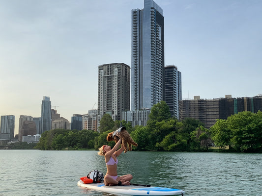 The Best Cities to Live In With a Dog