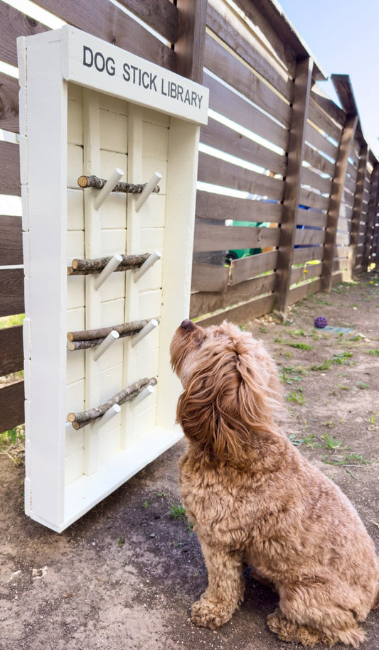 Tito looking up at a white Dog Stick Library mounted on a fence, sticks loaded on the pegs