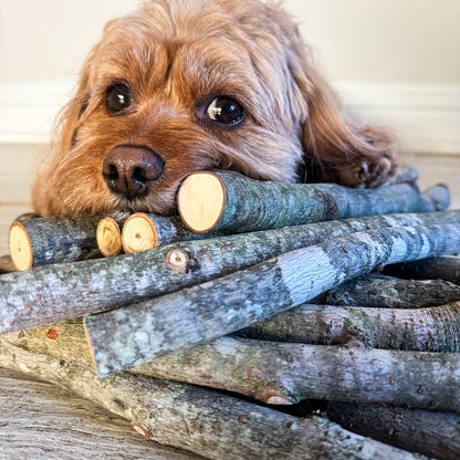 Stick Refill Bundle for Dog Stick Library natural wooden sticks