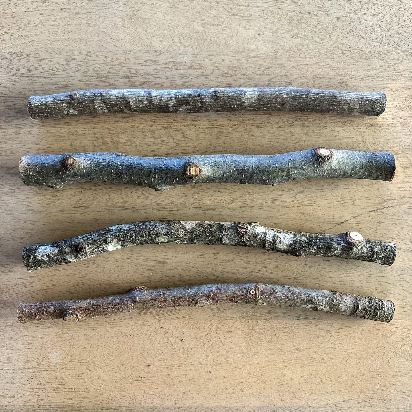 Hand-sourced rustic wooden sticks from Virginia for Dog Stick Library